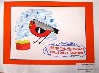 Выставка рисунков «Покормите птиц зимой» — МБДОУ \"Д/с № 56\"
