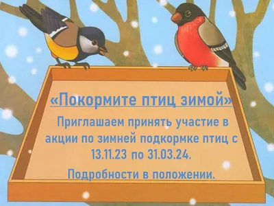 Покормите птиц зимой» 2023, Пестравский район — дата и место проведения,  программа мероприятия.