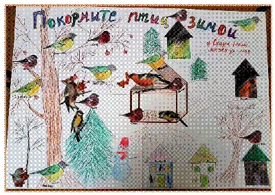 Конкурс детских работ \"Покормите птиц зимой\" | МБУК \"Гуманитарный центр -  библиотека имени семьи Полевых\"