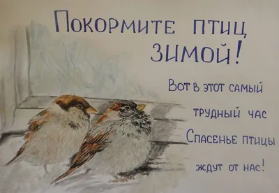 Буклет \"Покормите птиц зимой\"