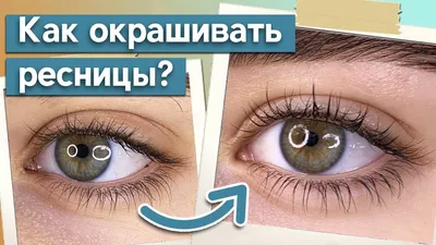 Как красить ресницы краской (до и после)- купить в Киеве | Tufishop.com.ua