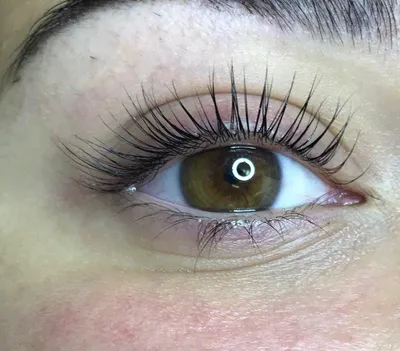 Юлия Браницкая - Ламинирование и покраска ресниц❤️  #lashes#lasheslift#eyes#eyelashes#eyelasheslamination#lamination# | Facebook