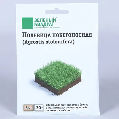 Полевица побегоносная (Agrostis stolonifera) — описание, выращивание, фото  | на LePlants.ru