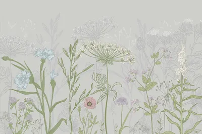 Васильки, букетик, полевые цветы | Anna Net | Flickr