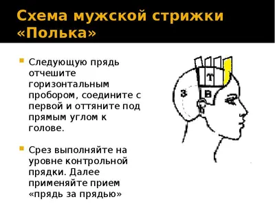 Как научиться стричь волосы самостоятельно. Пошаговая инструкция