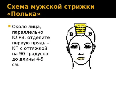 Креативная стрижка - это всегда пик индивидуальности и персонального стиля  💥 Будьте уникальны и неповторимы вместе с… | Instagram