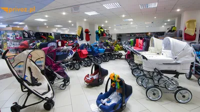 Лучшие польские детские коляски 2024 года по отзывам покупателей: какие польские  коляски для детей лучше купить, как правильно выбрать, сравнение цен