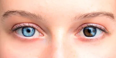 Как изменить цвет глаз - Лайфхакер