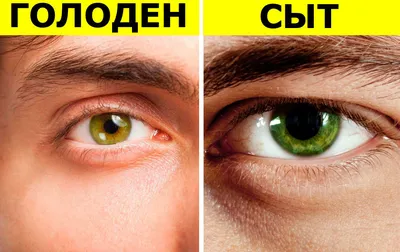 6 вещей, которые изменят цвет ваших глаз (временно или навсегда) -  Рамблер/новости