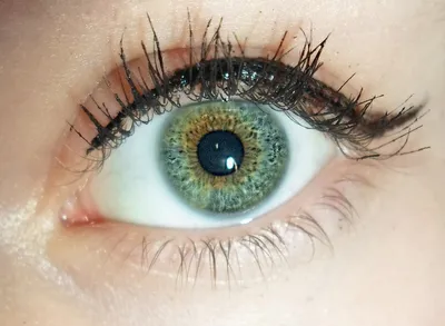 Как изменить цвет глаз в домашних условиях | Azazel | Дзен