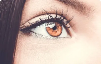 Обработка глаз: 4 простых и эффектных приёма | Статьи | Фото, видео, оптика  | Фотосклад Эксперт
