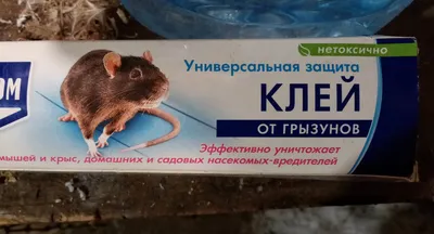 Nadzor Отрава для мышей и крыс, яд, средство от грызунов в доме