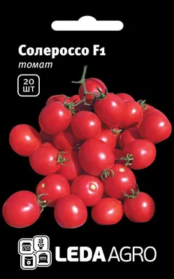 Томат Солероссо F1 (Nunhems) - купить семена в Украине: отзывы, цена,  описание ᐉ Agriks