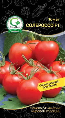 Семена томатов | томат солероссо f1 ультраранний 10 семян европакет,  империя семян