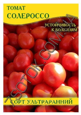 Томат СОЛЕРОССО F1 Nunhems 1000 шт - купить по лучшей цене в Черкассах от  компании \"Агромагазин \"Большой урожай\"\" - 643060025
