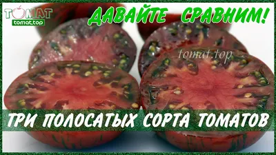 Томат Амурский тигр розовый завалит урожаем и не только... Tomato Amur  tiger pink - YouTube