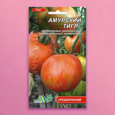 Амурский тигр