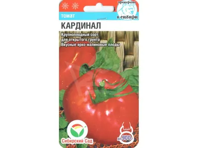 Сорт томатов Кардинал - YouTube
