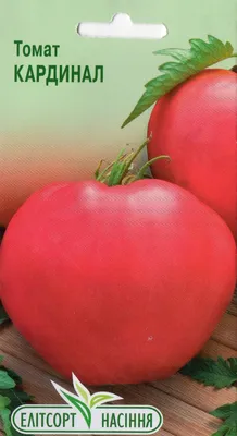 Семена томата Кардинал, 0,5кг: купить оптом, цена 912 ₴/упаковка - 7 Соток
