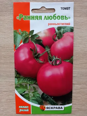 Всем томатам томат | Статьи журнала \"Сады и огороды Приморья\"