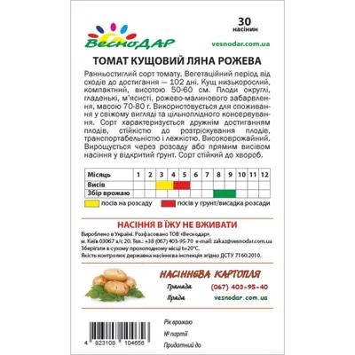 Сорт помидоров Санька: когда сажать семена на рассаду, выращивание и уход