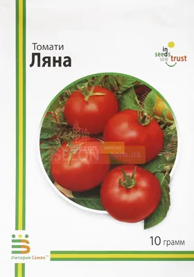 Томат Ляна, посадил и забыл, популярный сорт среди низкорослых, с отменным  вкусом и большим урожаем - YouTube