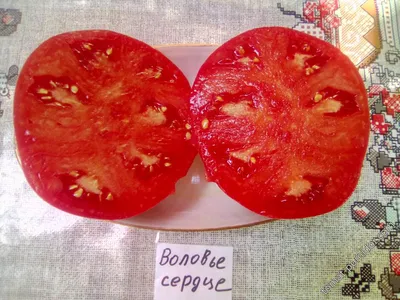 Воловье сердце - В — сорта томатов - tomat-pomidor.com - отзывы на форуме |  каталог