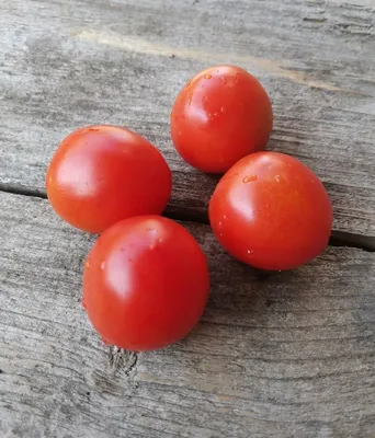 Семена томат Воловье Сердце Белое 0,1 г (ID#1531595587), цена: 8 ₴, купить  на Prom.ua