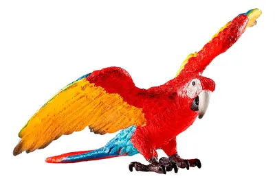 Купить картину-постер \"Яркий сине-желтый попугай ара\" с доставкой недорого  | Интернет-магазин \"АртПостер\"