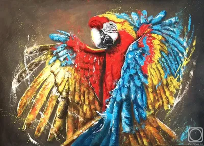 Попугай ара дома, мифы и реальность) | Пикабу