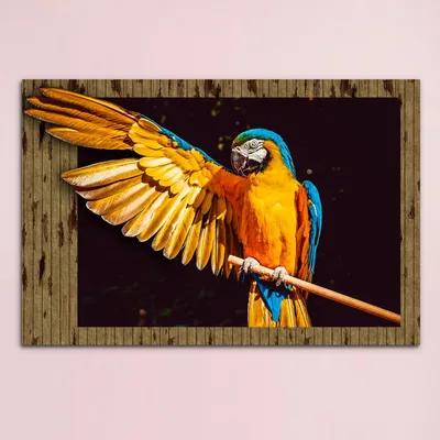 Выставка «Ручные и говорящие»: яркие ара, говорливые какаду и благородные  попугаи - Новости Тулы и области - MySlo.ru