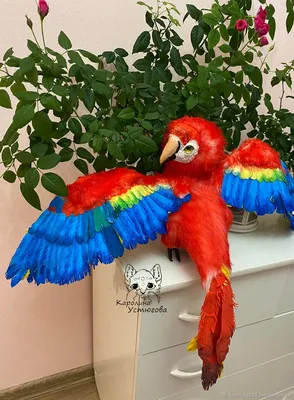 Купить [CS] статические статуэтки с изображением попугая ара для коллекции,  образовательные и декоративные фигурки | Joom