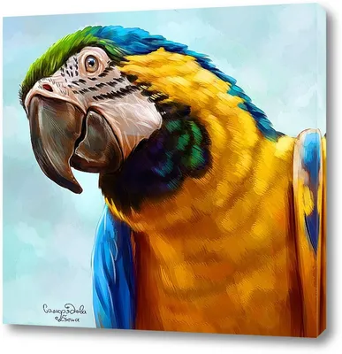 Холст с красками 22х30 см по номерам в коробке (16цв.) Попугай ара (Арт.  Х-2836) купить оптом, цена от 261.50 руб.