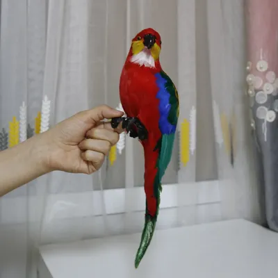Ара синий или сине-желты ручной говорящий попугай: 1 799 $ - Пташки Київ на  Olx