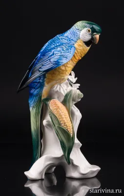 Националтный попугай синьо жовтий ара или ара сине желтый, попугай ара: 1  899 $ - Пташки Київ на Olx