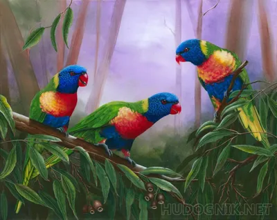 Ожереловый попугай зеленый (Psittacula krameri) из питомника. (ID#4695034),  цена: 5044 ₴, купить на Prom.ua