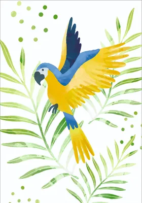 Индийский кольчатый попугай: содержание дома и особенности ухода -  Заповедник