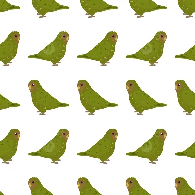Ученые полностью расшифровали геномы всех новозеландских попугаев-какапо -  Наука - ТАСС