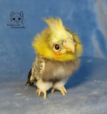 Попугай Корелла - яркий и красивый вид попугаев» — создано в Шедевруме