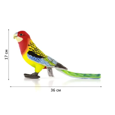 Купить реалистичная мягкая игрушка Hansa Creation Попугай розелла, 36 см,  цены на Мегамаркет