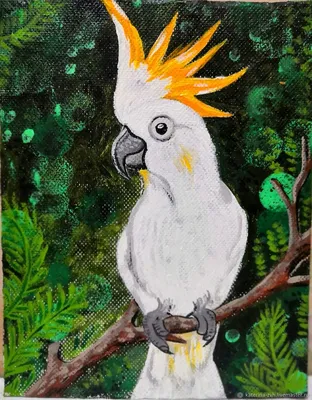 Бело жёлтый попугай жако с …» — создано в Шедевруме