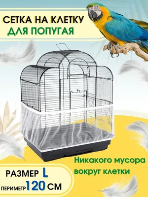 Большой попугай в клетке стоковое фото. изображение насчитывающей конец -  143706266