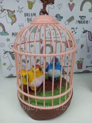 Продам клетку для попугая в Апатитах за 1500 руб — объявление