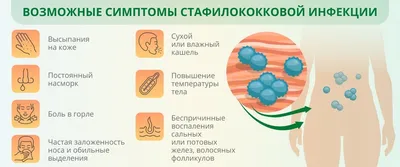 Почему появляется пиодермия и как её вылечить — блог медицинского центра ОН  Клиник