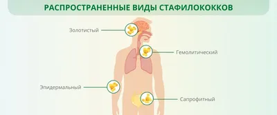 Диагностика стафилококка, симптоматика и лечение инфекции - ТОВ «Бiокор  Текнолоджi ЛТД»