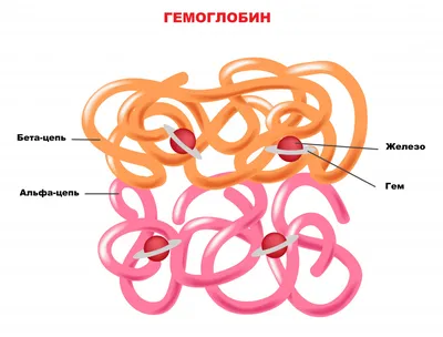 Разнообразие печеночных изменений кожи: как отличить их от возрастных? |  НОВОСТИ ДОЛГОЛЕТИЯ (Проспект Гормезиса) | Дзен