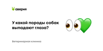 Третье веко у собаки: выпадение, воспаление и другие патологии, как их  лечить?