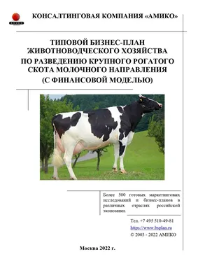 Впервые за 30 лет в Кыргызстан доставили уникальную породу крупного  рогатого скота
