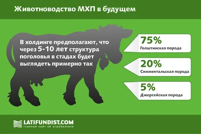 Продам коров породы Симментал, купить коров породы Симментал, Луганская обл  — Agro-Ukraine