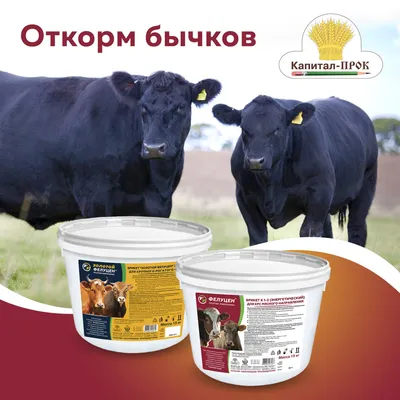 Обзор рынка животноводства в Украине | InVenture